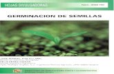 GERMINACION DE SEMILLAS - mapama.gob.es · CONCEPTO DE GERMINACIÓN La ^Terminación se inicia con la entrada de agua en La semilla (imbibición) y finaliza con el comienzo de la