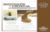 Litopenaeus - uaa.mx 40.pdf · Efectos de la inclusión dietaria de Yucca schidigera, en los parámetros de calidad del agua y producción del camarón blanco del Pacífico, …