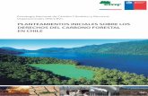 PLANTEAMIENTOS INICIALES SOBRE LOS DERECHOS DEL CARBONO … · 29308 portada dercho carbono.indd 1 10-11-14 18:10. planteamientos iniciales sobre los derechos del carbono forestal