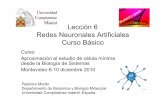 Lección 6 Redes Neuronales Artificiales Curso Básico …lbs.fcien.edu.uy/archivos/L6-RedesNeuronalesArtificiales-20101208.pdf · Lección 6 Redes Neuronales Artificiales Curso Básico