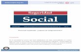 Personal expatriado: ¿sujetos de aseguramiento? · Boletín de Investigación de Comisión Seguridad Social - 2Sur - Diciembre de 2014 Presidente C.P.C. Ricardo Paullada Nevárez