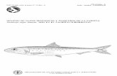 Sinopsis de datos biologicos y pesqueros de la sardina ... · (1941) no explica la razón de llevar a la sinonimia los géneros Sardinops y Arenqus. De acuerdo con Hubbs (1929) y