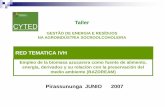 Pirassununga JUNIO 2007 - Universidade de São Paulo - Antonio Valdes.pdf · Empleo de la biomasa azucarera como fuente de alimento, ... SE INDICA TAMBIEN UNA CIFRA DE 10 t/ha PARA