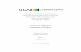 TIERRA DE LIBERTAD - biblioteca2.ucab.edu.vebiblioteca2.ucab.edu.ve/anexos/biblioteca/marc/texto/AAT0889.pdf · Para el desarrollo de la tesis, se escogió el paradigma cualitativo