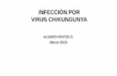 INFECCIÓN POR VIRUS CHIKUNGUNYA · Virus chikungunya en Las América. 2011. CLÍNICA: características fase subaguda y crónica. Najeeba Riyaz R et al. Indian Journal of Dermatology,