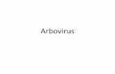 Arbovirus - fmed.uba.ar · virus se repiten en las zonas tropicales de Asia, Oceanía, África y las Américas. • La enfermedad viral más importante de los seres humanos transmitida