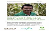 CULTIVANDO SEMILLAS - Oxfam International | The … · 2015-05-27 · Disagro S.A de C.V, quien ocupó el 39% del mercado ($3.3 millones), seguido de la empresa Fertilizantes Maya