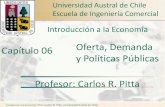 Capítulo 06 Oferta, Demanda y Políticas Públicas … 6.pdf · Introducción a la Economía Oferta, Demanda y Políticas Públicas Profesor: Carlos R. Pitta Introducción a la Economía,