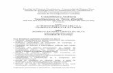 Contabilidad y Auditoría Investigaciones en Teoría …bibliotecadigital.econ.uba.ar/download/cya/cya_v23_n45_01.pdf · RODRIGO ANTONIO CHAVES DA SILVA ... (Silva, 2009) como parte