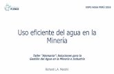 Uso eficiente del agua en la Minera Metálica · Uso eficiente del agua en la Minería ... •Especializado en metalurgia extractiva, ... Litio Magnesio Policloruros Manganeso