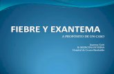 A PROPÓSITO DE UN CASO - …extranet.hospitalcruces.com/doc/adjuntos/FIEBRE Y EXANTEMA.pdf · Descripción del exantema: morfología, disposición, distribución de las lesiones.