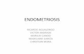 ENDOMETRIOSIS - promo57.files.wordpress.com · endometriosis y la formación de adherencias. ... para la adhesión celular de endometrio. ... –Mayor frecuencia de las fases mas