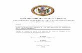 UNIVERSIDAD TÉCNICA DE AMBATO - …repositorio.uta.edu.ec/bitstream/123456789/8295/1/FJCS-DE-736.pdf · los índices de accidentalidad en el cantón Ambato. ... Antecedentes de la
