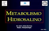METABOLISMO HIDROSALINO - Departamento de … · ALTERACIONES. Osmosis: flujo de agua a través ... • Hiponatremia: alteración del metabolismo del H2O y no del metabolismo del