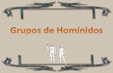 ESPECIES DE HOMINIDOS ANTIGÜEDADiespoetaclaudio.centros.educa.jcyl.es/sitio/upload/grupos_humanos... · pequeño que los Australopithecus. Iba erguido. Tanto los huesos de las manos
