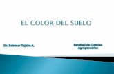EL COLOR DEL SUELO - Universidad de Panamá · El color del suelo, en sí, no influye en el crecimiento de las plantas. Sin embargo, es de suma importancia como indicador de características