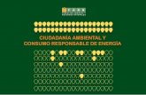 ciudadanía ambiental y consumo responsable de energíafarn.org.ar/wp-content/uploads/2014/06/manual_consumo_energia.pdf · El presente manual sobre Ciudadanía Ambiental y Consumo