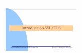Introducción SSL/TLS - delta.cs.cinvestav.mxdelta.cs.cinvestav.mx/~francisco/ssi/ssi_tls.pdf · Contexto de SSL/TLS •Amenazas –Integridad •Modificación de datos, inseción