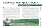 La FinCa aGroeCoLÓGiCa 2008-1/06... · explotado intensamente para la agricultura durante mu-chos años, por lo que fue declarado sitio protegido por la ... Finca Agroecológica