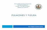 PULMONES Y PLEURA - Anatomía Vargas UCV - HOMEanatomiaucv.weebly.com/.../1/...pulmones_y_pleura.pdf · Universidad Central de Venezuela Facultad de Medicina Escuela “José María
