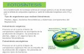 FOTOSÍNTESIS · 2017-03-04 · El agua y el bióxido de carbono son los substratos a partir de los cuales se sintetizan los carbohidratos en la fotosíntesis, de acuerdo con la siguiente