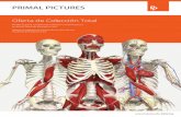 Oferta de Colección Total - anatomy.tv fileun atlas de microanatomía, imágenes histológicas y de disección y contenido auxiliar que contiene información sobre el envejecimiento,