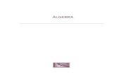 Álgebra - Grupo Editorial Patria · 2.9 Soluciones complejas de una ecuación de segundo grado 53 2.10 Igualdad de números complejos 55 2.11 Operaciones aritméticas 55 2.12 ...