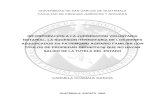 INCORPORACIÓN A LA JURISDICCIÓN VOLUNTARIA …biblioteca.oj.gob.gt/digitales/21665.pdf · universidad de san carlos de guatemala facultad de ciencias jurÍdicas y sociales incorporaciÓn