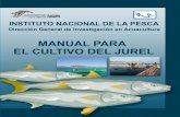 Instituto Nacional de la Pesca - inapesca.gob.mx · Ubicación del cultivo de Seriola lalandi en Bahía Magdalena, B.C.S., Mex., ... Con este esquema de colaboración se logró asociar