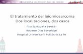 El tratamiento del leiomiosarcoma Dos … la estrategia de tratamiento contínuo Le Cesne A, et al. Lancet Oncol. 2015;16(3):312-319. Seguimiento mediano de 21 meses Ensayo fase III