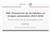 PAE: Prevención de Accidentes en Grupos 2013 2018conapra.salud.gob.mx/Interior/Documentos/Grupos_Vulnerables/Nov... · Emmanuel López Martínez, Javier Galicia Serrano, Patricia