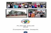 PLAN DE SALUD 2016 Comuna de San Joaquínsanjoaquinsaludable.cl/wp-content/uploads/2016/01/PLAN-DE-SALUD... · 4 Figura 2.- Principios fundamentales del Modelo de Atención Integral
