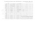 Concierto para dos clarinetes y orquesta, Op. 35 Op 35.pdf · Flauta Oboe 1 Oboe 2 Fagot 1 Fagot 2 Trompa en Fa 1 y 2 Trompeta en Sib 1 y 2 Timbales Clarinete Solista 1 ... Violín