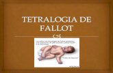 TETRATOLOGIA DE FALLOT - olgairma.weebly.comolgairma.weebly.com/uploads/2/6/1/1/26110358/1_tetralogia_de_f... · El paso de sangre desaturada a la circulación sistémica, ... mayor
