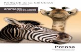 Prensa - parqueciencias.com · 1 animales de museo el arte de la taxidermia A partir del 17 de Julio de 2009  Prensa comunicacion@parqueciencias.com