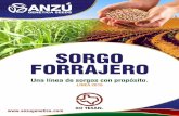 SORGO FORRAJERO - Anzu Genéticaanzugenetica.com/wp-content/uploads/2015/12/SORGO-FORRAJERO.… · únicamente para la producción de SILO de Calidad. Con grandes volúmenes de GRANO