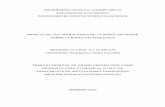 UNIVERSIDAD CATÓLICA ANDRÉS BELLO …biblioteca2.ucab.edu.ve/anexos/biblioteca/marc/texto/AAQ9154.pdf · Diferencia de la Banca Offshore ... el Acuerdo General de Aranceles y Comercio,