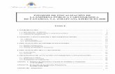 Audiencia de Cuentas de Canarias€¦ · financiera y los preceptos legales que son de aplicación a la ... - La explotación de patentes y marcas y productos relacionados con los