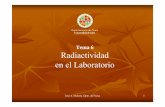 Radiactividad en el Laboratorio - ujaen.esjamoleon/Master Radiactividad.pdf · en el Laboratorio Departamento de Física Universidad de Jaén. 2 ... mPb =0.3cm 2/g ...