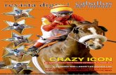 Gran Premio estrellas ClassiC (G1) Gran Premio …caballosdelmundo.com/revista/revistadigitalcdm_373.pdf · do el comando con luz, casi en fila india la seguían Sihua (Cosmic), La