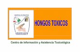 MICETISMO - Portal de la Coordinación de Educación …edumed.imss.gob.mx/pediatria/toxico/hongos_toxicos.pdf · etanol o previa ingesta de hongos en un lapso 72 hrs • ...