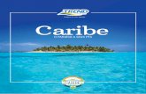 Caribe - trendviagens.com.br€¦ · PUNTA CANA 28 - 29 - 30 - 31 - 32 CARIBE COM CARROS 33 ROMANCE NO CARIBE 34 - 35. MARA D ... explorar suas praias de areia branquíssima. A capital,