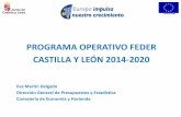 PROGRAMA OPERATIVO FEDER CASTILLA Y LEÓN … · 98,7 159,3 89,5 969,0 CASTILLA Y LEÓN 2014-2020 (EN MILLONES DE EUROS) ... ecológica, las aplicaciones de servicio público, el