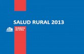 SALUD RURAL 2013 - Cursos de Autoformación MINSALminsal.uvirtual.cl/documentos/archivo/leticia_avila.pdf · para la aplicación del modelo de salud integral ... • Impulsar el diseño