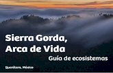 Sierra Gorda, Arca de Vidasierragordaecotours.com/wp-content/uploads/2017/10/guia-de... · caracteriza por la menor corpulencia de sus árboles y por el que los ... (Odocoileus virginianus),