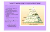MARCO TEORICO DE LA BIOARQUEOLOGÍAecaths1.s3.amazonaws.com/bioarqueologia/1323697491.14. Zooarque… · HISTORIA DE LA ZOOARQUEOLOGIA zooarqueología pasó a ocupar un rol preponderante