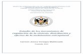 Estudio de los mecanismos de regulación de la …0-hera.ugr.es.adrastea.ugr.es/tesisugr/21801538.pdf · Estudio de los mecanismos de regulación de la síntesis, distribución y