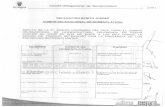 Scanned Document - Delegación Benito Juárez | El … · Rivera Av. Divtsión del ... Mario Alberto Palacios Acosta, ... una valiosa labor en el desempeño durante el Holocausto.