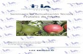 Seminario de Actualización Técnica Frutales de Pepita … compartidos/18429191112103… · Comercialización de plantas de frutales de pepita en el Uruguay , zafra ... En lo que