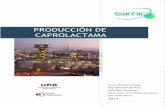 PRODUCCIÓN DE CAPROLACTAMA - Dipòsit Digital … · 2014-02-19 · Área 300: Purificación ..... 4 2.1.4. Área 400: Almacenamiento de productos ... TP-203 Tanque pulmón puesta